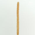 Dry Phleum - Pudu Ria Florist Southern