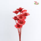 Dry Stella Luna - Red - Pudu Ria Florist Southern
