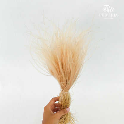 Dry Stipa Grass Natural - Pudu Ria Florist Southern