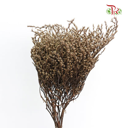 Dry Tatacaria - Pudu Ria Florist Southern