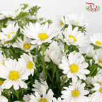 Hana White - Pudu Ria Florist Southern