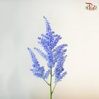 Astilbe Blue (4-5 Stems) - Pudu Ria Florist Southern