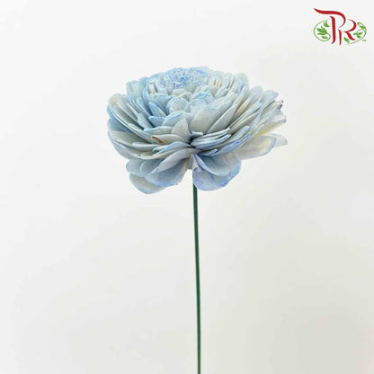 Dry Aeschynomene (Big) - Blue - Pudu Ria Florist Southern