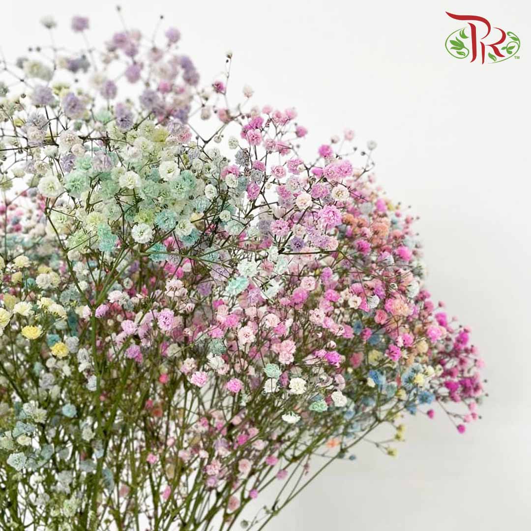 Baby's Breath Rainbow (8-10 Stems) - Pudu Ria Florist Southern