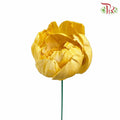Dry Sola Rose Big - Yellow - Pudu Ria Florist Southern