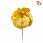 Dry Sola Rose Big - Yellow - Pudu Ria Florist Southern