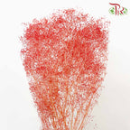 Preservative Baby Breath - Red - Pudu Ria Florist Southern