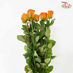 Rose Refulgence (8-10 Stems) - Pudu Ria Florist Southern