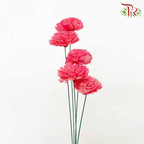 Dry Aeschynomene (Big) - Red - Pudu Ria Florist Southern