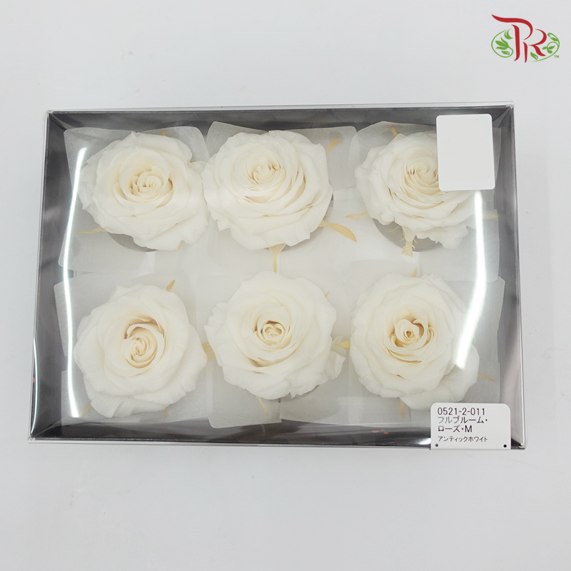 Preservative Full Bloom Rose (6 Blooms) - Cream - Pudu Ria Florist Southern