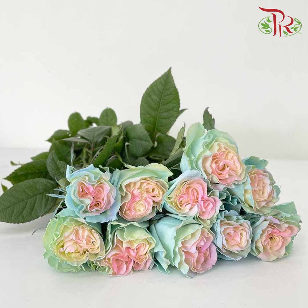 Rose Mondial Dyed Jellyfish (8-10 Stems) - Pudu Ria Florist Southern