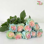 Rose Mondial Dyed Jellyfish (8-10 Stems) - Pudu Ria Florist Southern