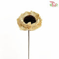 Dry Corn Poppy - Natural - Pudu Ria Florist Southern