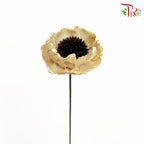 Dry Corn Poppy - Natural - Pudu Ria Florist Southern
