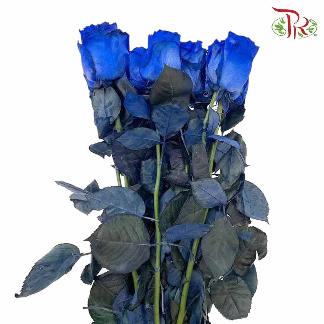 Rose Mondial Dyed Blue (8-10 Stems) - Pudu Ria Florist Southern