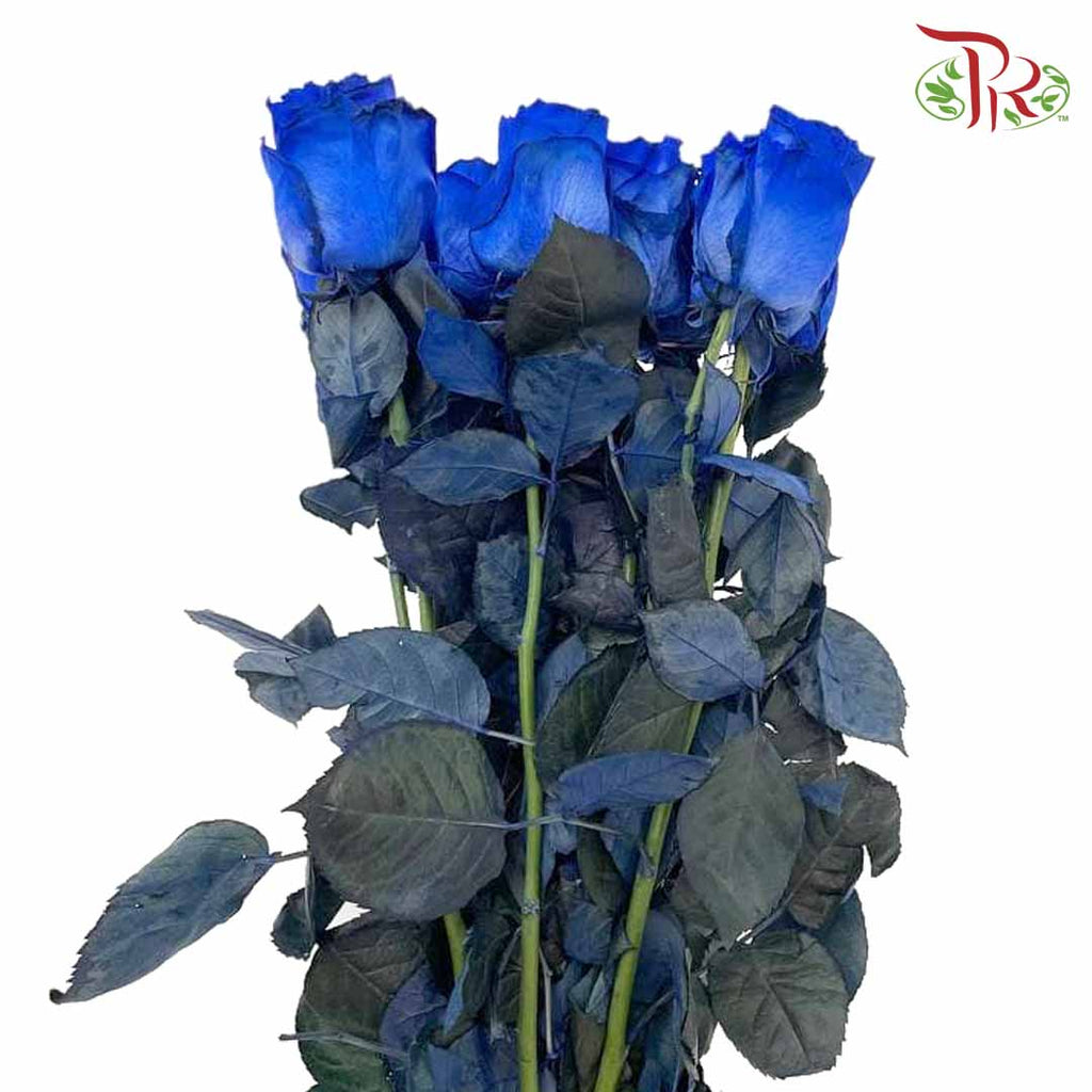 Rose Mondial Dyed Blue (8-10 Stems) - Pudu Ria Florist Southern