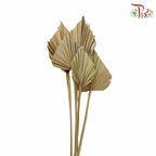 Dry Spear Palm (S) - Pudu Ria Florist Southern