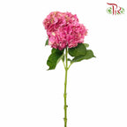 Hydrangea Cherry Pink / Per Stem - Pudu Ria Florist Southern