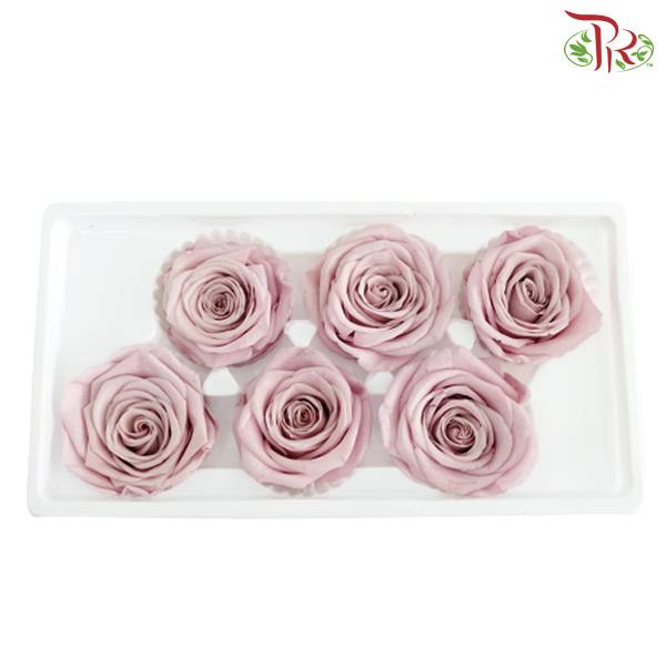 6 Bloom Preservative Rose - Soft Purple