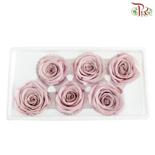 6 Bloom Preservative Rose - Soft Purple - Pudu Ria Florist Southern
