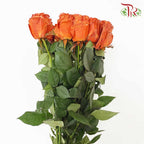 Rose Brig (8-10 Stems) - Pudu Ria Florist Southern
