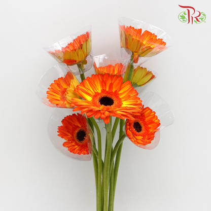 Gerbera Orange/Yellow (8-10 Stems) - Pudu Ria Florist Southern