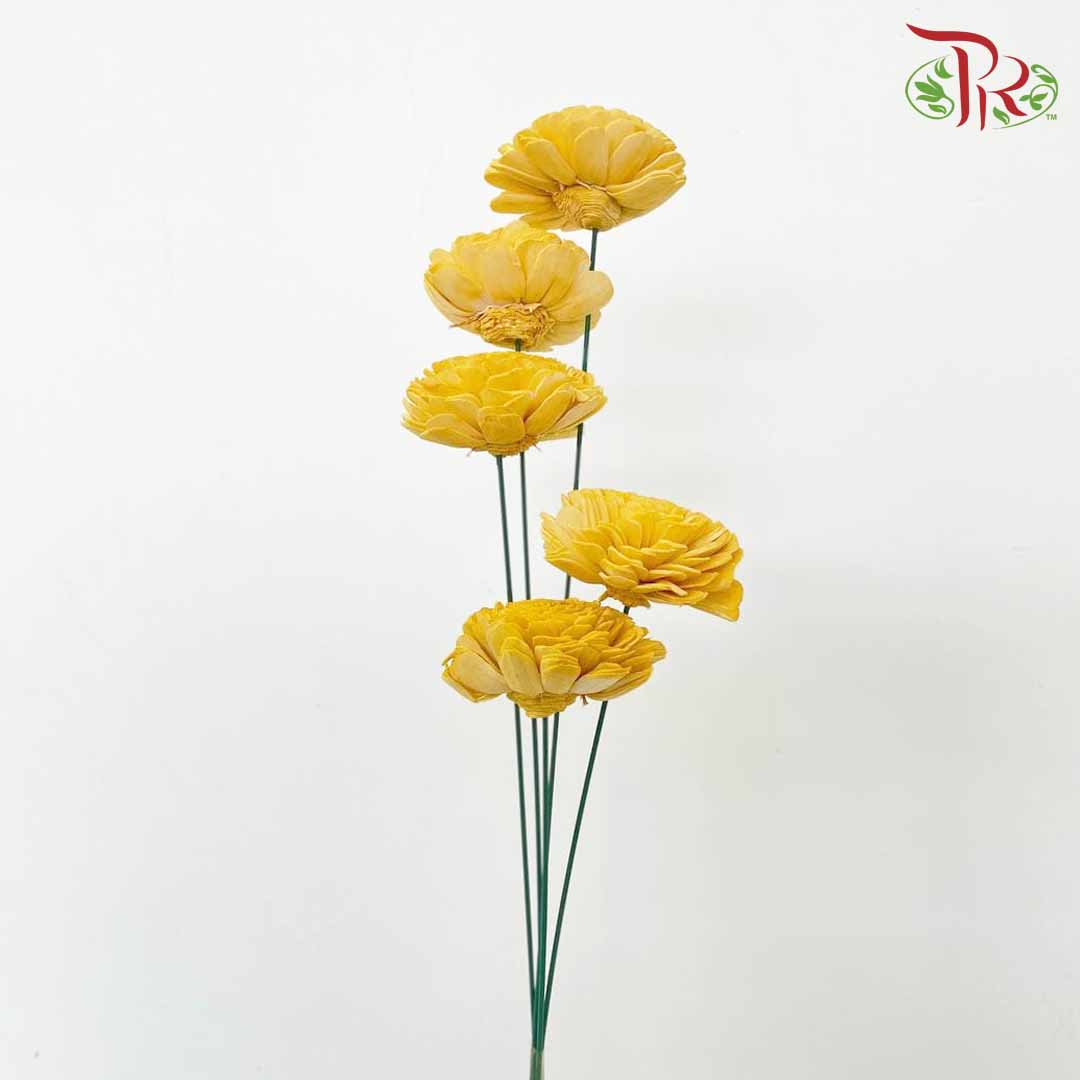 Dry Aeschynomene (Big) - Yellow - Pudu Ria Florist Southern