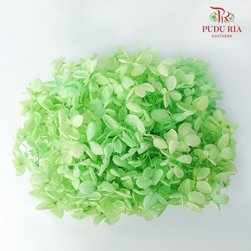 Preservative Hydrangea - Green - Pudu Ria Florist Southern
