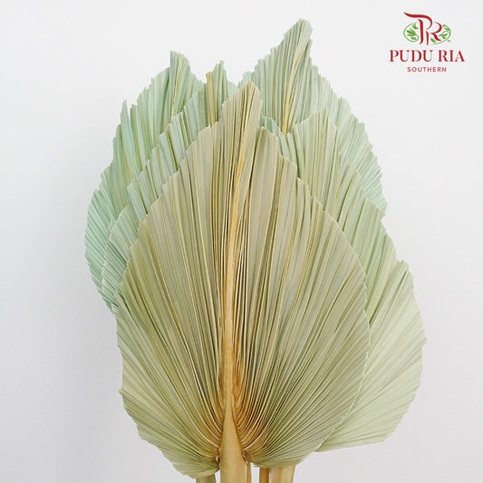 Dry Palm Dyed Green (5 Stems)