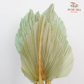 Dry Palm Dyed Green (5 Stems) - Pudu Ria Florist Southern