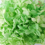 Preservative Hydrangea - Green - Pudu Ria Florist Southern