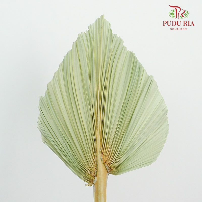 Dry Palm Dyed Green (5 Stems) - Pudu Ria Florist Southern