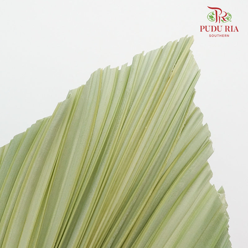 Dry Palm Dyed Green (5 Stems) - Pudu Ria Florist Southern