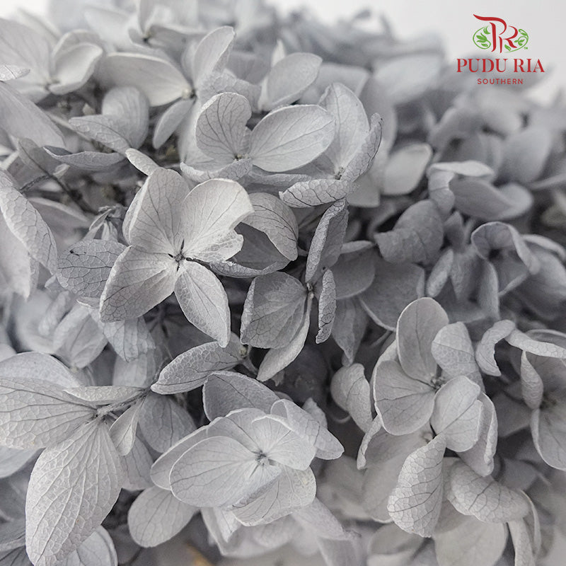 Preservative Hydrangea - Grey - Pudu Ria Florist Southern