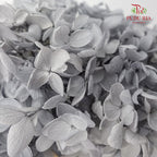 Preservative Hydrangea - Grey - Pudu Ria Florist Southern