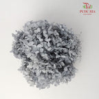 Preservative Hydrangea - Grey - Pudu Ria Florist Southern