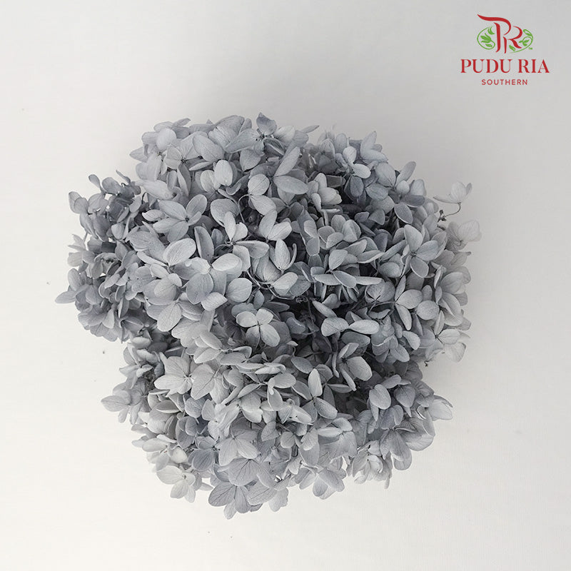 Preservative Hydrangea - Grey - Pudu Ria Florist Southern