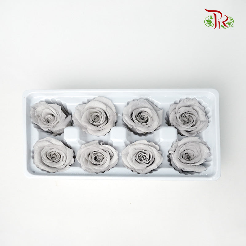 8 Bloom Preservative Rose - Grey - Pudu Ria Florist Southern