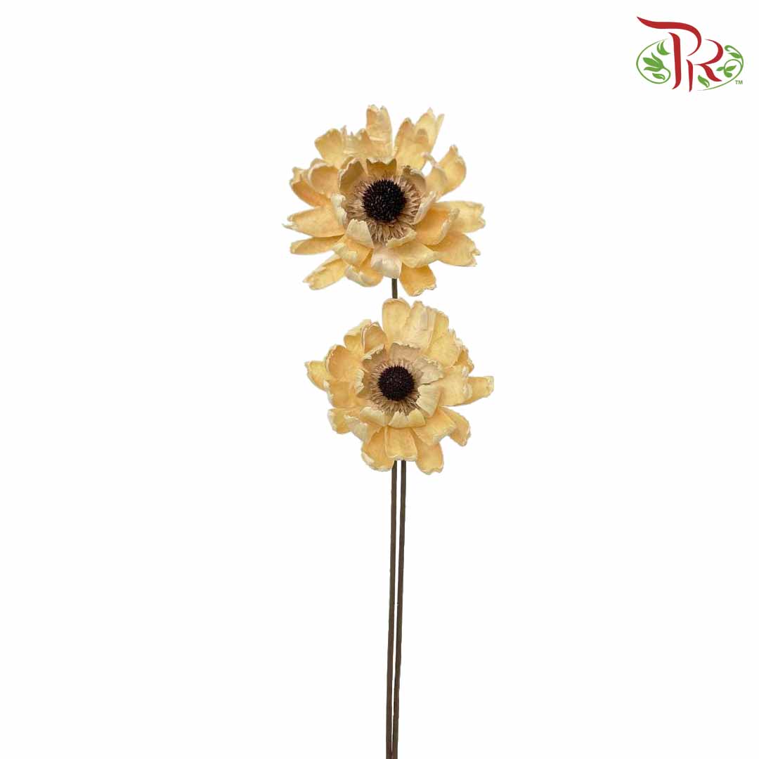 Dry Lingjian Lotus -Natural - Pudu Ria Florist Southern