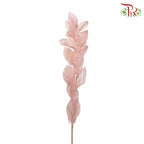 Dry Orange Leaf - Pink - Pudu Ria Florist Southern