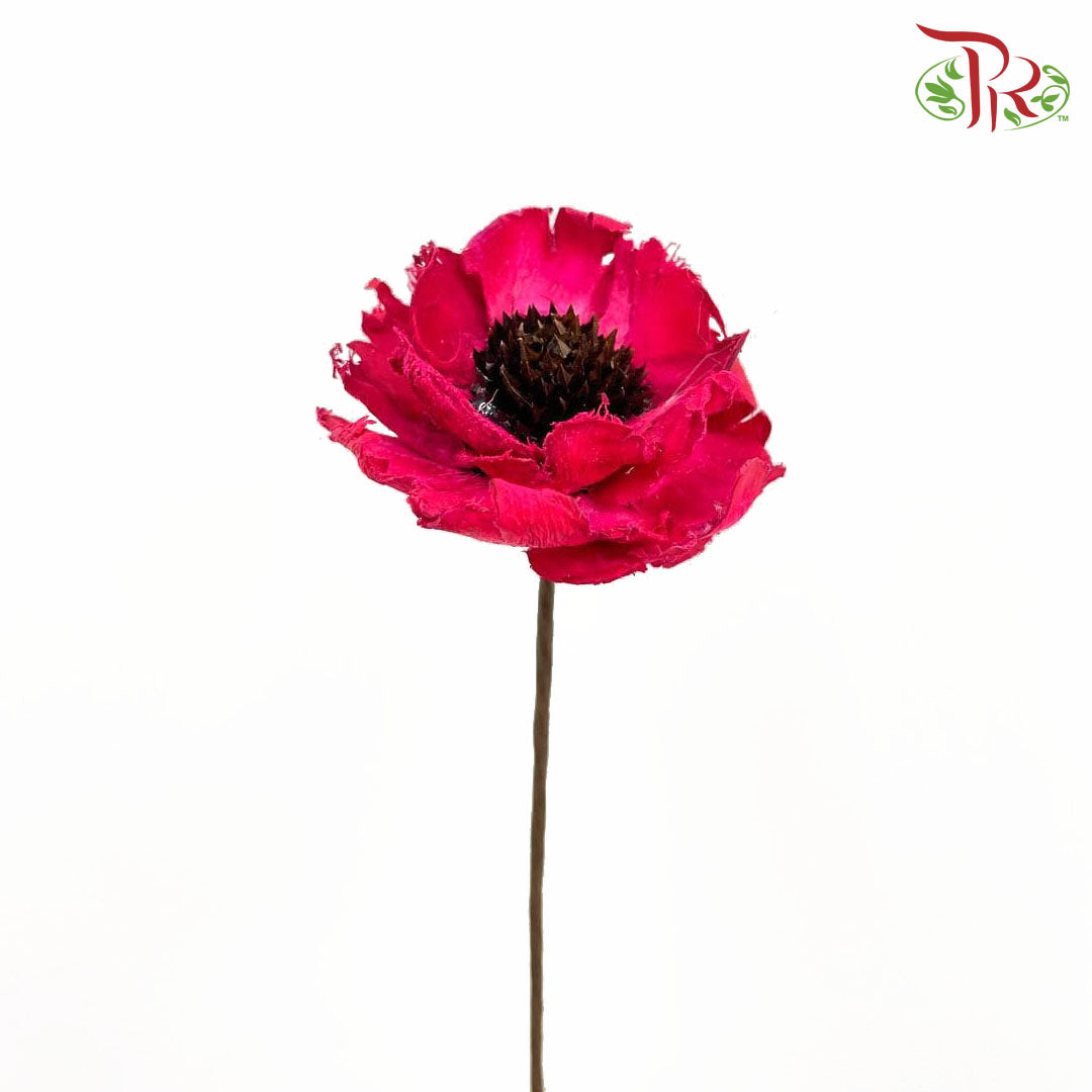 Dry Corn Poppy - Red - Pudu Ria Florist Southern