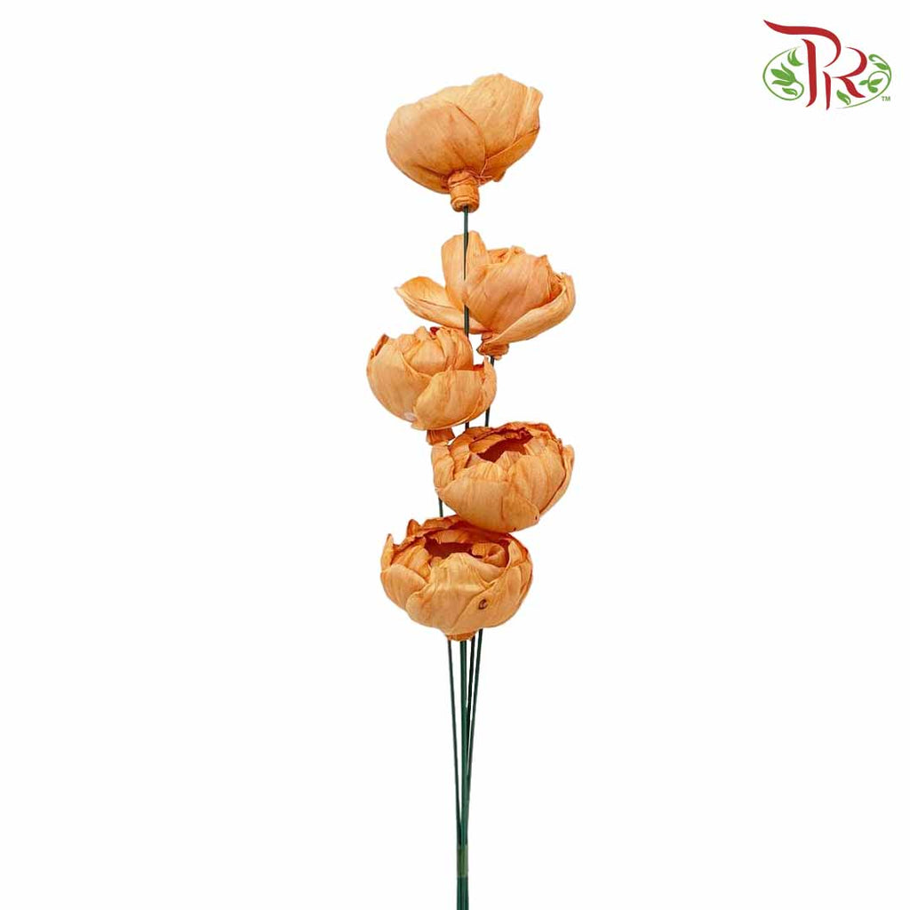 Dry Sola Rose Big - Orange - Pudu Ria Florist Southern