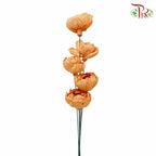 Dry Sola Rose Big - Orange - Pudu Ria Florist Southern