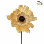 Dry Lingjian Lotus -Natural - Pudu Ria Florist Southern