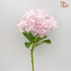 Hydrangea Light Pink / Per Stem - Pudu Ria Florist Southern