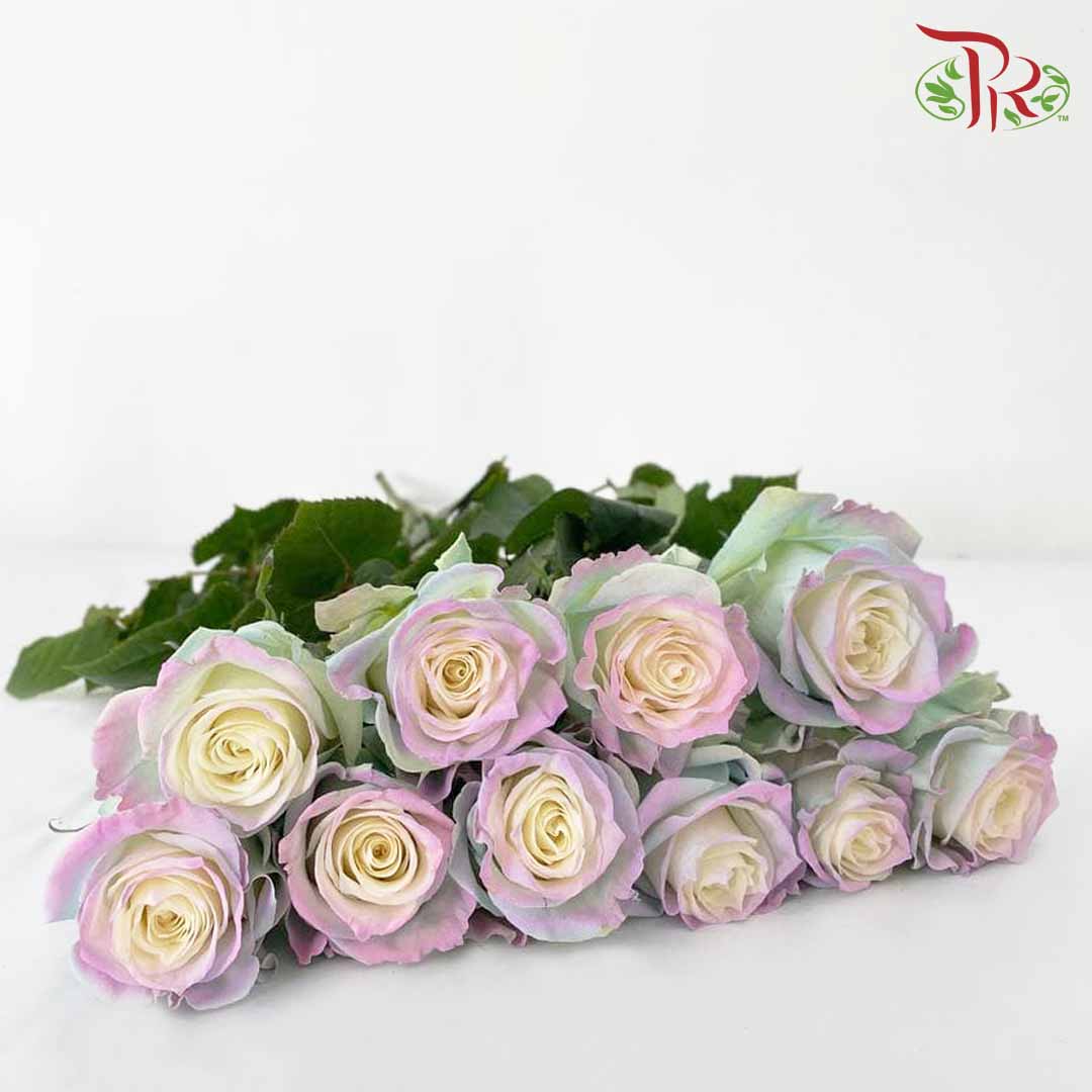 Rose Mondial Dyed Sweet Aurora Bori (8-10 Stems) - Pudu Ria Florist Southern