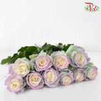 Rose Mondial Dyed Sweet Aurora Bori (8-10 Stems) - Pudu Ria Florist Southern