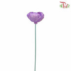Dry Sola Rose Big - Purple - Pudu Ria Florist Southern