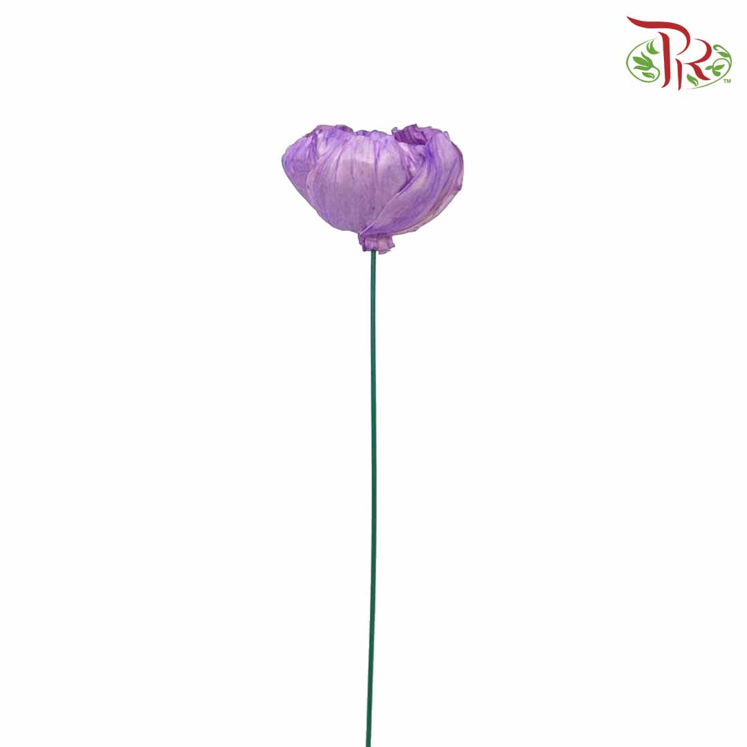 Dry Sola Rose Big - Purple - Pudu Ria Florist Southern