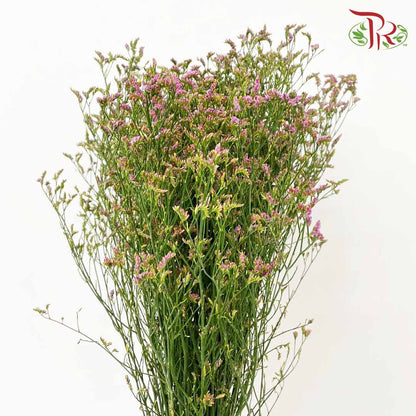 Caspia Pink - Pudu Ria Florist Southern